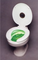 Kryptonite Toilet